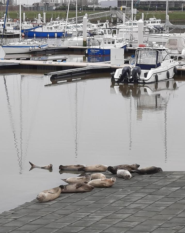 Zon, Zee En Ontspanning Middelkerke Zewnętrze zdjęcie